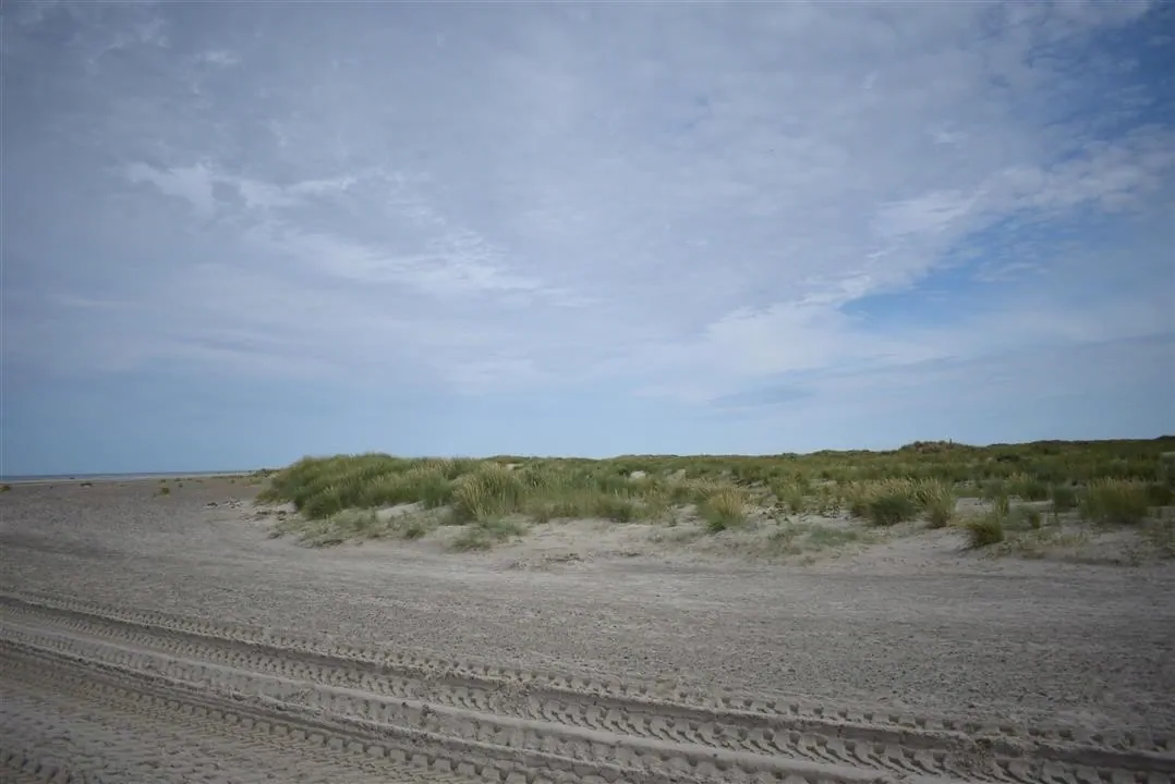 G22.2 grenen and the sandormen sat 22 jul (35)